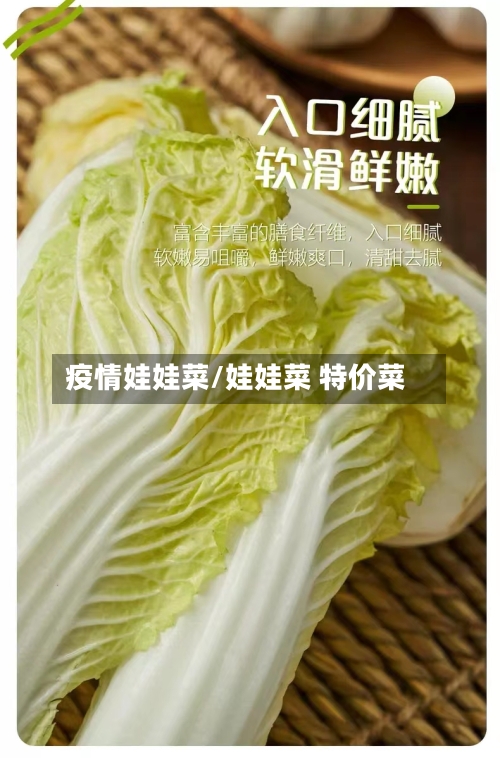 疫情娃娃菜/娃娃菜 特价菜