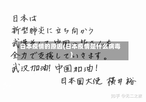 日本疫情的原因(日本疫情是什么病毒)-第2张图片