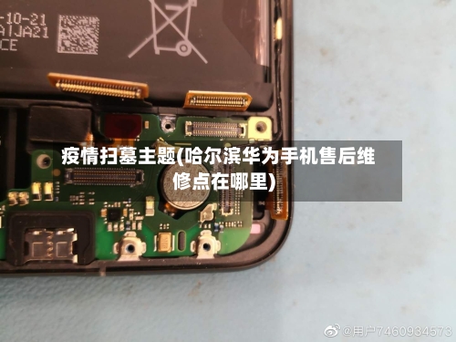 疫情扫墓主题(哈尔滨华为手机售后维修点在哪里)-第2张图片