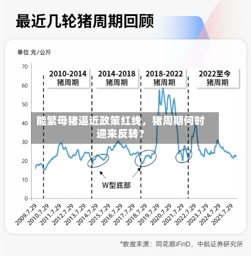 能繁母猪逼近政策红线，猪周期何时迎来反转？-第2张图片