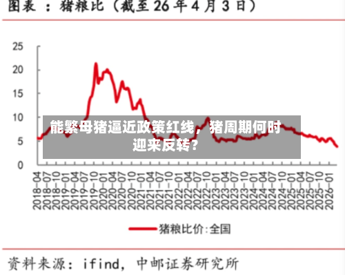 能繁母猪逼近政策红线	，猪周期何时迎来反转？-第3张图片