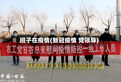 班子在疫情(新冠疫情 党领导)