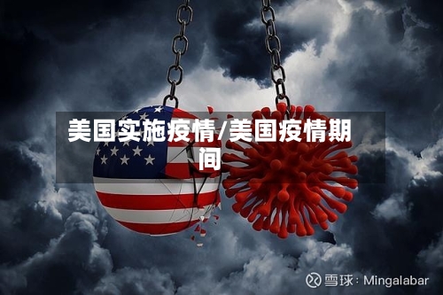 美国实施疫情/美国疫情期间