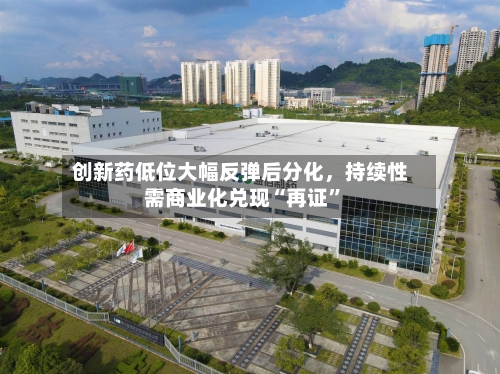创新药低位大幅反弹后分化，持续性需商业化兑现“再证”-第2张图片
