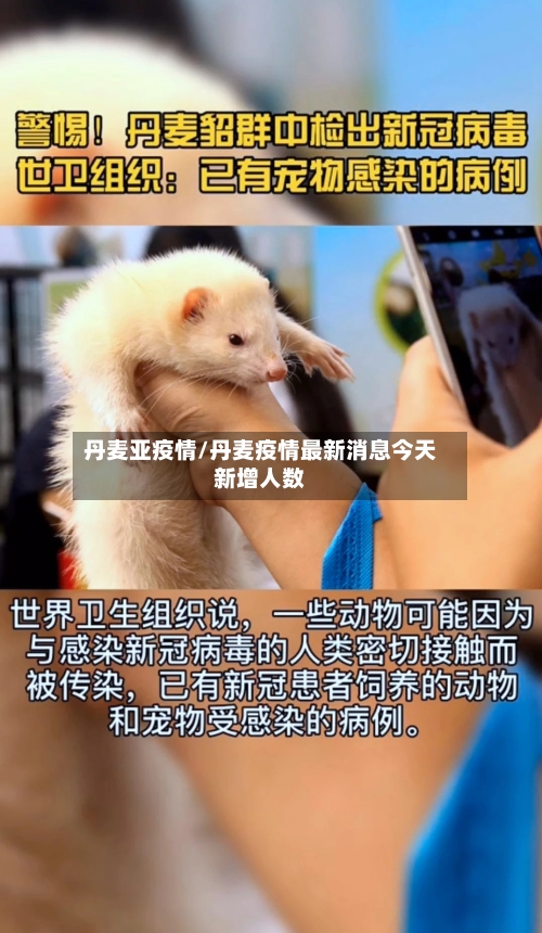 丹麦亚疫情/丹麦疫情最新消息今天新增人数