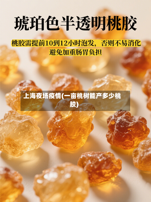 上海夜场疫情(一亩桃树能产多少桃胶)