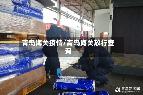 青岛海关疫情/青岛海关放行查询-第3张图片
