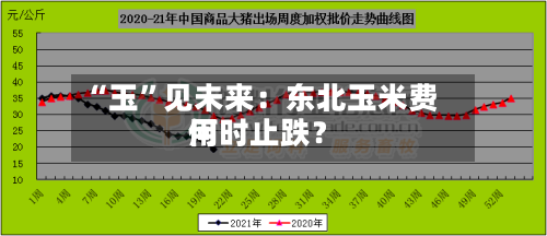 “玉”见未来：东北玉米费用何时止跌？-第3张图片