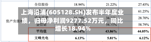 上海沿浦(605128.SH)发布半年度业绩	，归母净利润9277.52万元，同比增长18.94%-第3张图片