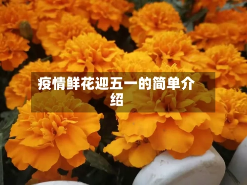 疫情鲜花迎五一的简单介绍-第3张图片