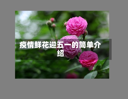 疫情鲜花迎五一的简单介绍