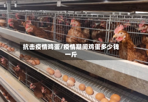 抗击疫情鸡蛋/疫情期间鸡蛋多少钱一斤-第3张图片