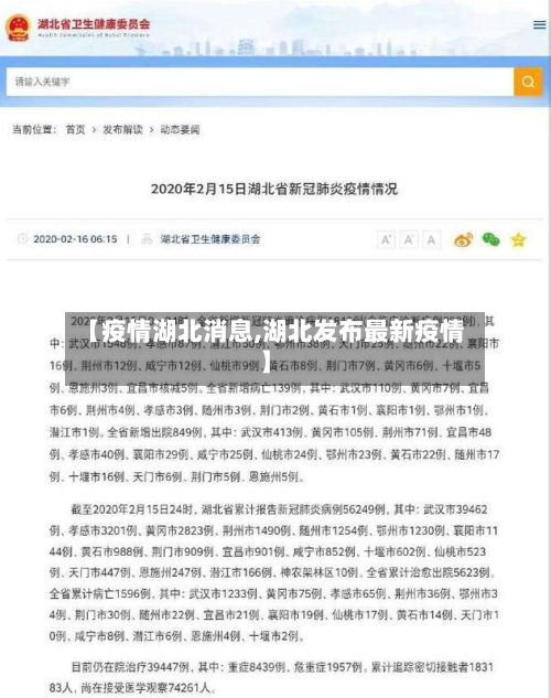 【疫情湖北消息,湖北发布最新疫情】-第2张图片