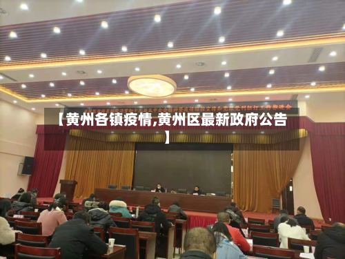 【黄州各镇疫情,黄州区最新政府公告】