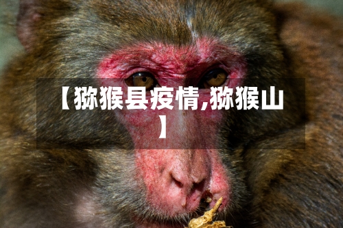 【猕猴县疫情,猕猴山】
