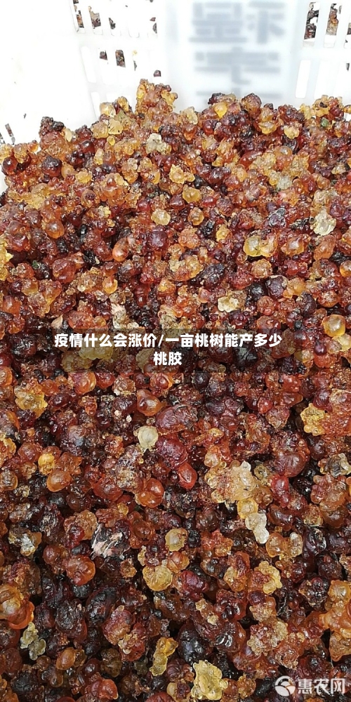 疫情什么会涨价/一亩桃树能产多少桃胶-第2张图片