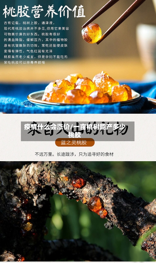 疫情什么会涨价/一亩桃树能产多少桃胶