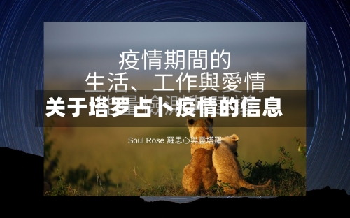 关于塔罗占卜疫情的信息