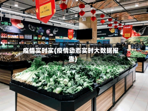 疫情实时实(疫情动态实时大数据报告)-第2张图片
