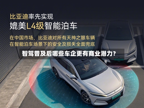 智驾普及后哪些车企更有商业潜力?-第2张图片