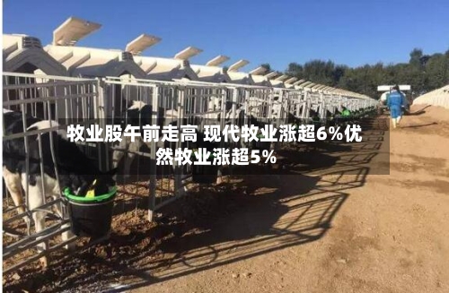 牧业股午前走高 现代牧业涨超6%优然牧业涨超5%