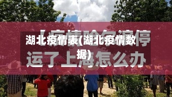 湖北疫情表(湖北疫情数据)