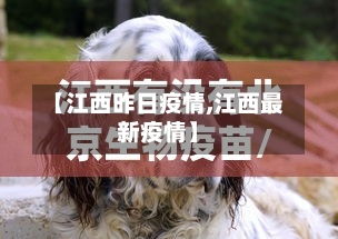 【江西昨日疫情,江西最新疫情】-第2张图片