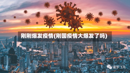 刚刚爆发疫情(刚国疫情大爆发了吗)-第2张图片