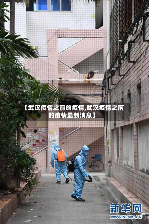 【武汉疫情之前的疫情,武汉疫情之前的疫情最新消息】-第3张图片