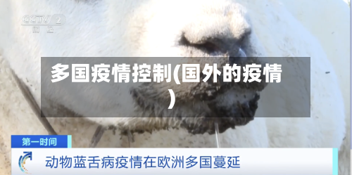 多国疫情控制(国外的疫情)-第3张图片