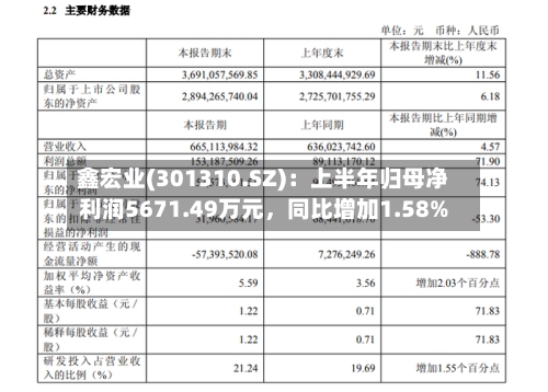 鑫宏业(301310.SZ)：上半年归母净利润5671.49万元，同比增加1.58%