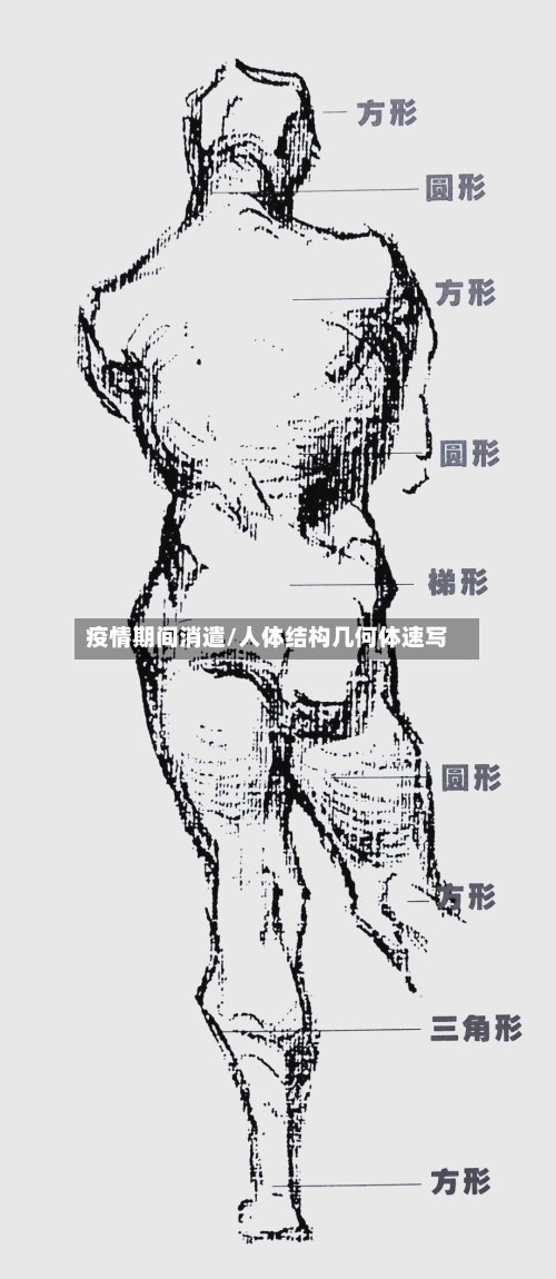 疫情期间消遣/人体结构几何体速写