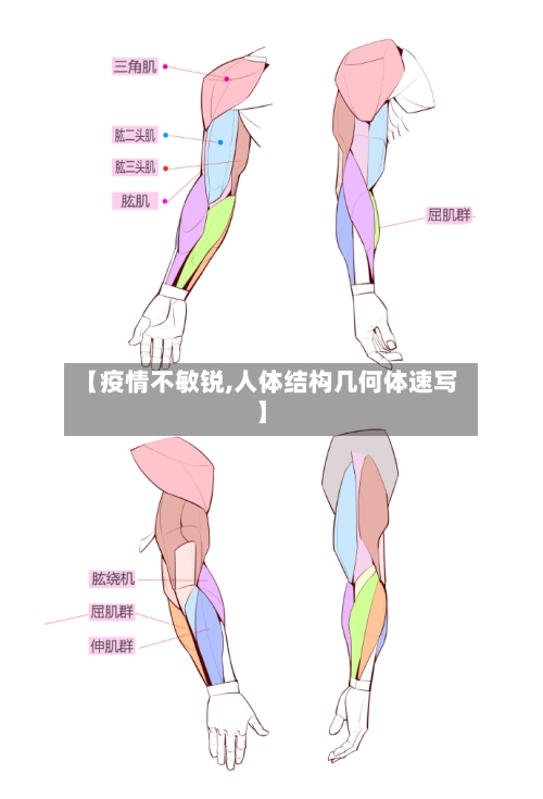 【疫情不敏锐,人体结构几何体速写】-第2张图片