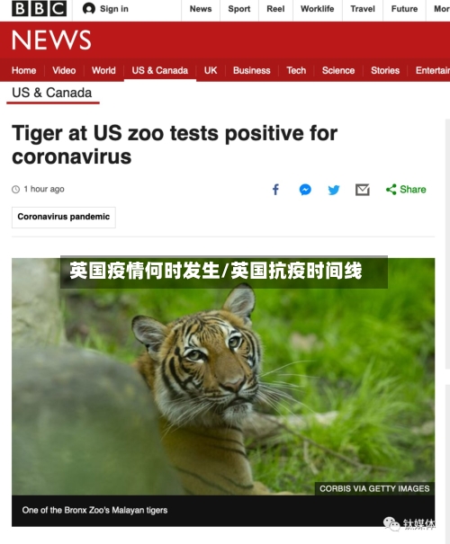 英国疫情何时发生/英国抗疫时间线-第3张图片