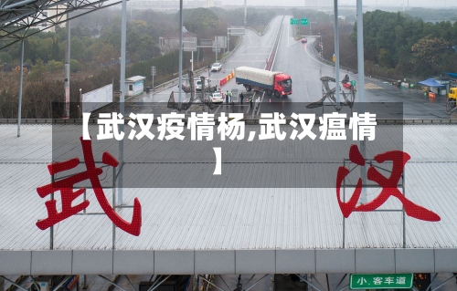 【武汉疫情杨,武汉瘟情】-第3张图片