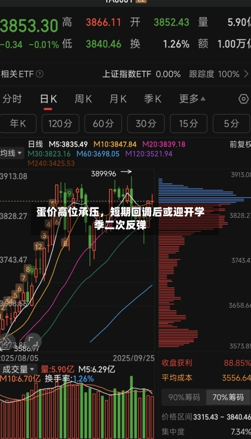 蛋价高位承压，短期回调后或迎开学季二次反弹-第2张图片