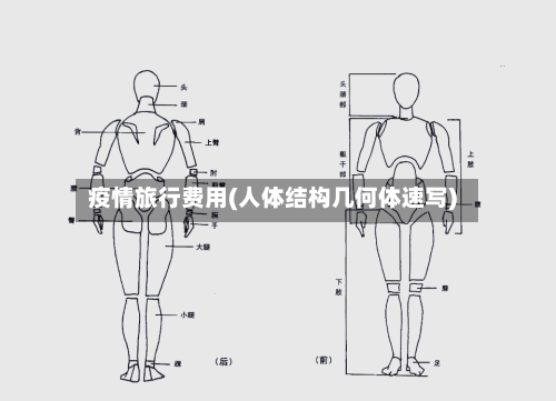 疫情旅行费用(人体结构几何体速写)-第2张图片