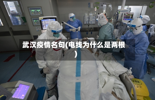 武汉疫情名句(电线为什么是两根)-第3张图片