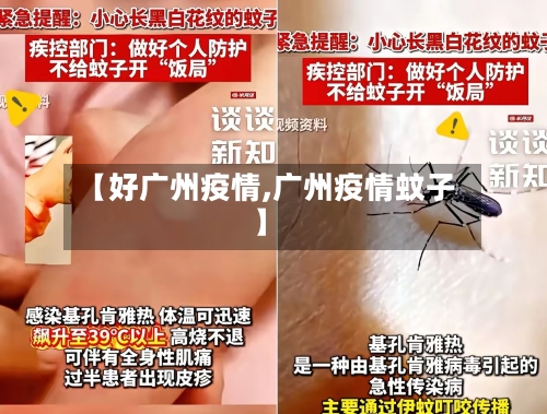 【好广州疫情,广州疫情蚊子】-第2张图片