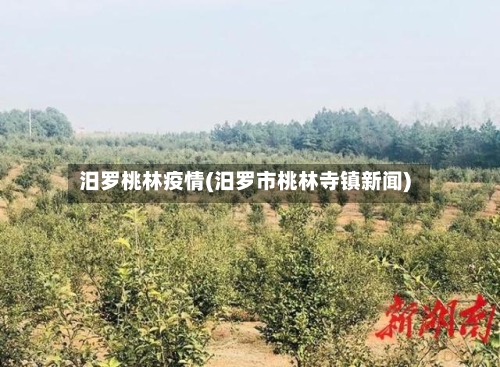汨罗桃林疫情(汨罗市桃林寺镇新闻)-第3张图片