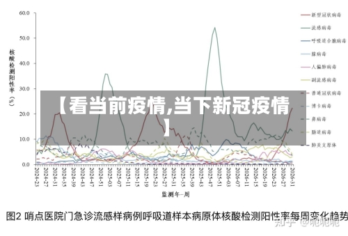 【看当前疫情,当下新冠疫情】-第2张图片