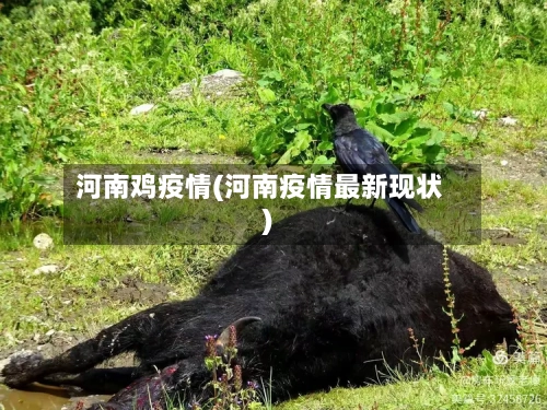 河南鸡疫情(河南疫情最新现状)-第3张图片