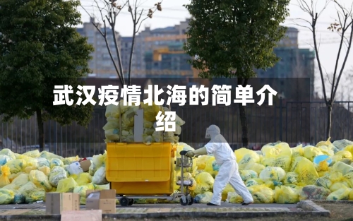 武汉疫情北海的简单介绍-第2张图片