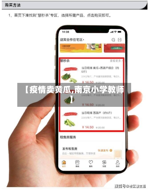 【疫情卖黄瓜,南京小学教师】