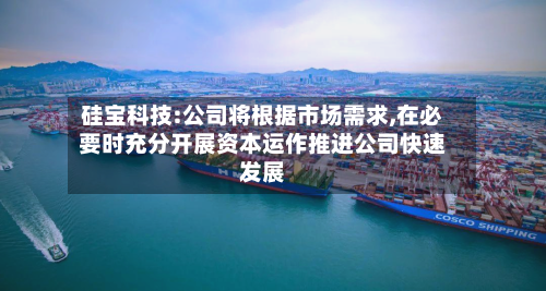 硅宝科技:公司将根据市场需求,在必要时充分开展资本运作推进公司快速发展