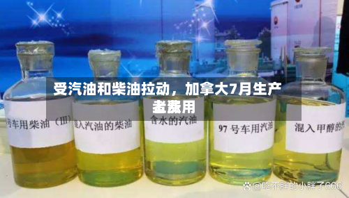受汽油和柴油拉动，加拿大7月生产者费用上涨