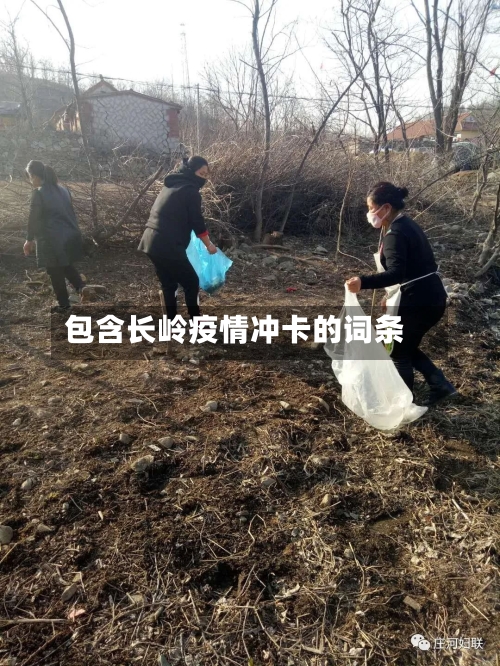 包含长岭疫情冲卡的词条