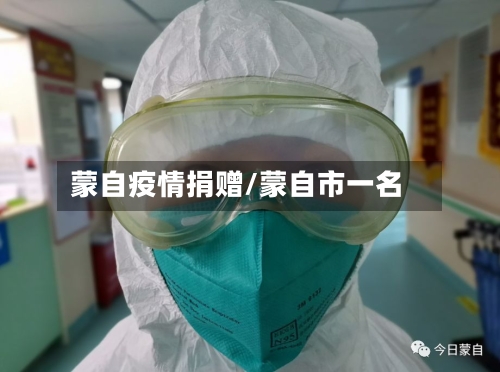 蒙自疫情捐赠/蒙自市一名