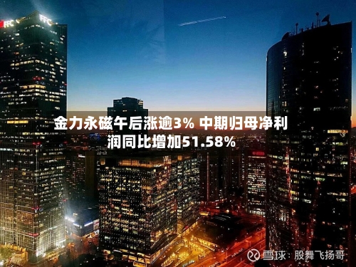 金力永磁午后涨逾3% 中期归母净利润同比增加51.58%-第2张图片
