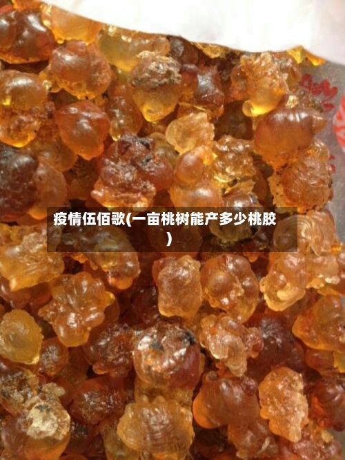 疫情伍佰歌(一亩桃树能产多少桃胶)-第2张图片
